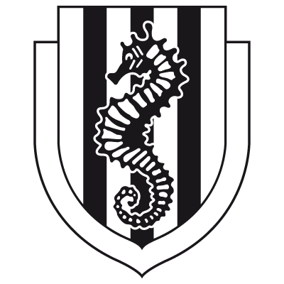 AC-Cesena@2.-other-logo.png