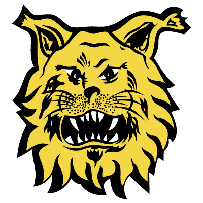 Ilves-Tampere.png
